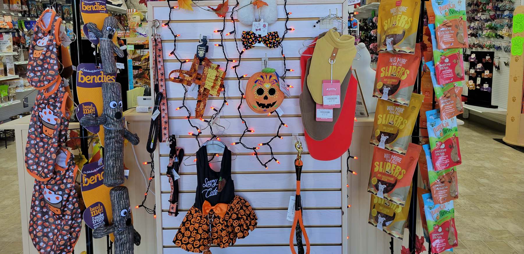halloween pet supplies toys and costumes